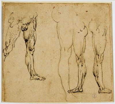 Études de jambes masculines, c. 1485-1487 - Leonardo da Vinci